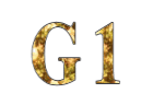  G1 